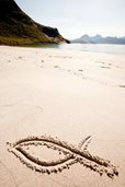 fish shape drawn in sandy beach